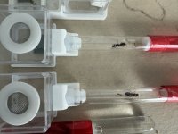 IMG_0357.jpeg