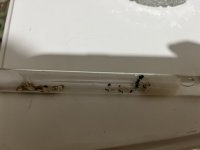 IMG_3269.jpeg