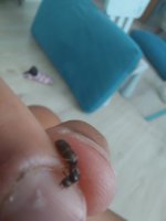 20260610_124703.jpg