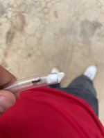 IMG_6239.jpeg