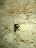 IMG_20260610_202843.jpg
