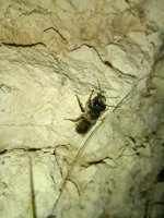 IMG_20260610_202841.jpg