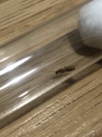 IMG_1439.jpeg