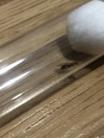 IMG_1437.jpeg