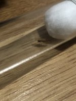 IMG_1434.jpeg