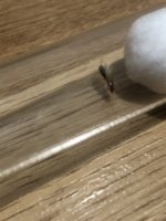 IMG_1432.jpeg