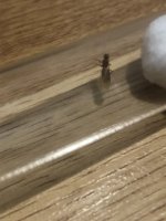 IMG_1431.jpeg