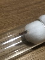 IMG_1425.jpeg