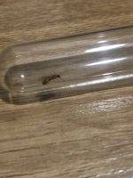 IMG_1418.jpeg