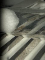 IMG_1443.jpeg