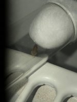 IMG_1441.jpeg