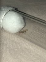 IMG_1464.jpeg