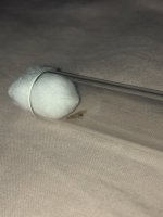 IMG_1462.jpeg