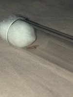 IMG_1466.jpeg