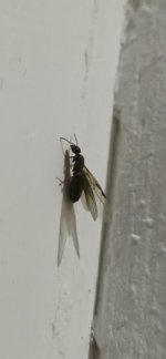 IMG_20260610_230542.jpg