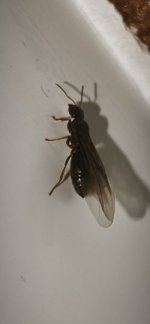 IMG_20260610_230808.jpg