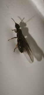 IMG_20260610_230807.jpg
