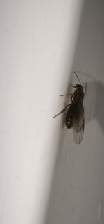 IMG_20260610_230624.jpg