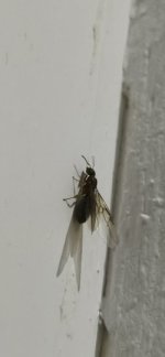 IMG_20260610_230540.jpg