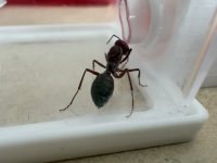 IMG_0201.jpeg