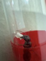 IMG_0298.jpeg