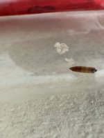 IMG_0352.jpeg