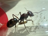 IMG_0385.jpeg