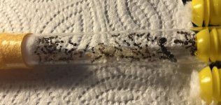 IMG_3378.jpeg