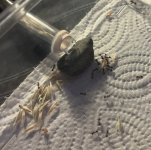 IMG_3373.jpeg