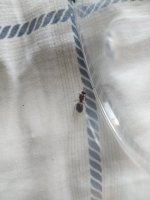 IMG_20260611_173930.jpg