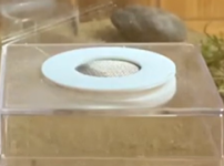 Ekran görüntüsü 2026-06-11 230329.png