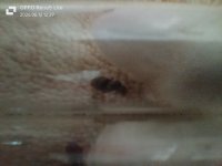 IMG20260612122935.jpg