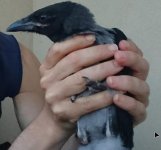 1.jpg 1.jpg