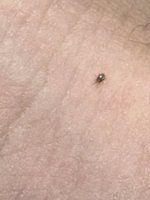 IMG_1723.jpeg