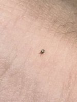 IMG_1722.jpeg