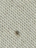 IMG_1721.jpeg