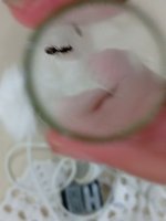 IMG_20260612_182106.jpg