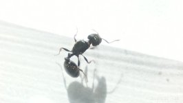 IMG_20260613_142824.jpg