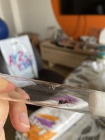 IMG_4046.jpeg