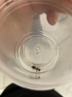 IMG_4036.jpeg