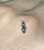 IMG_6558.jpeg