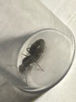 IMG_6560.jpeg