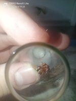 IMG20260614192024.jpg