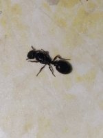 IMG_6569.jpeg