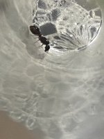 IMG_6564.jpeg