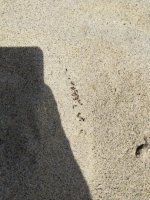 IMG_20260615_112128.jpg