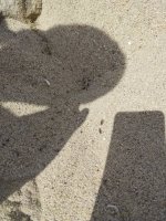 IMG_20260615_111932.jpg
