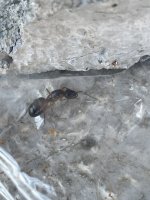 IMG_0365.jpeg