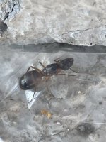 IMG_0366.jpeg