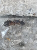 IMG_0368.jpeg